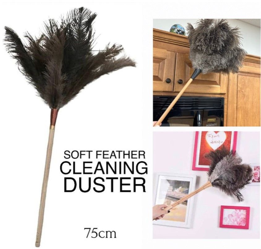 Feather Duster