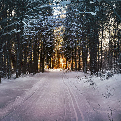 Winter Collection