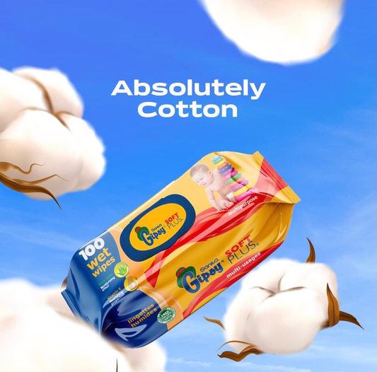 Wet Wipes (100-Sheets)