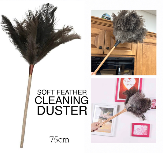 Feather Duster