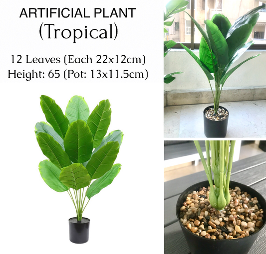 65cm Artificial Plant (Tropical)