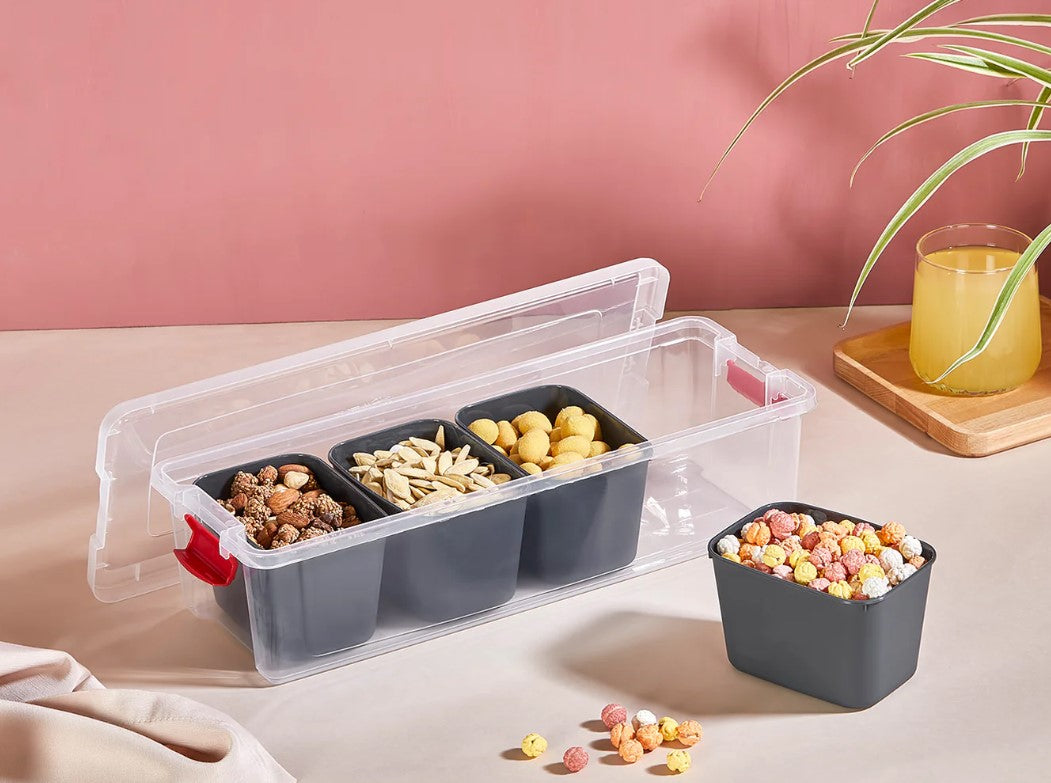Organizers Food Box 2.3L with 4 Small Bowls