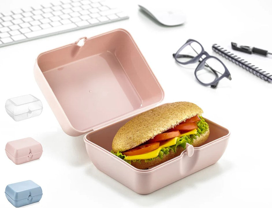 Small Lunch Box 16x12x9