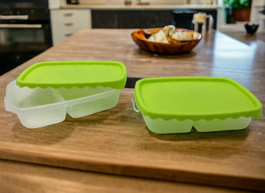 Set of 2 food containers with 2 compartments