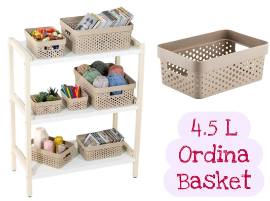 Medium Ordina Plastic Basket 4.5 Lt