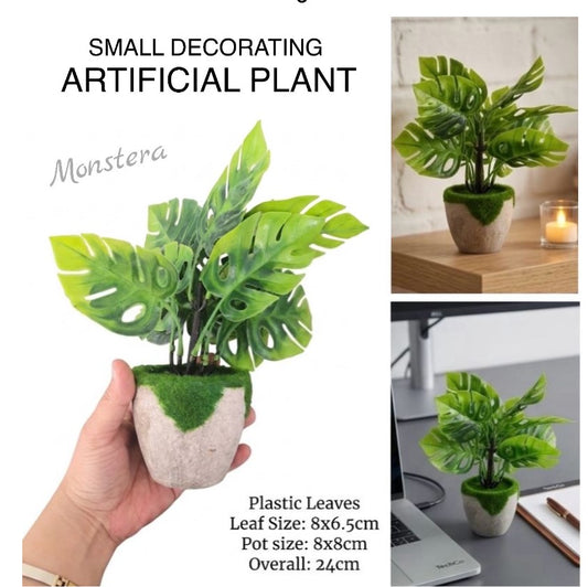 Small Artificial Plant