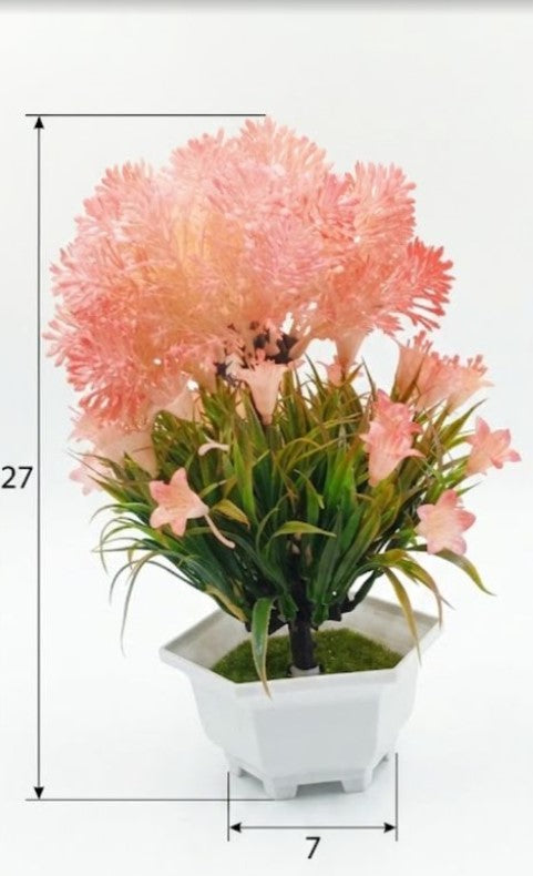 Pink flowering bonsai