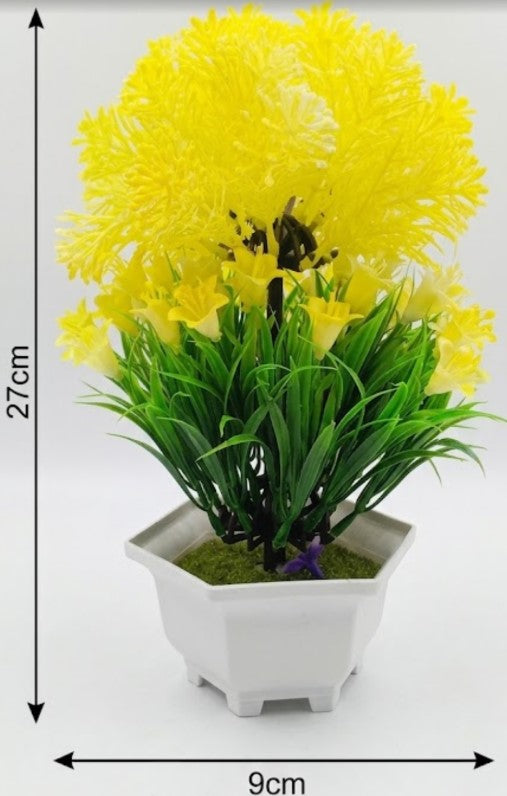 Yellow flowering bonsai